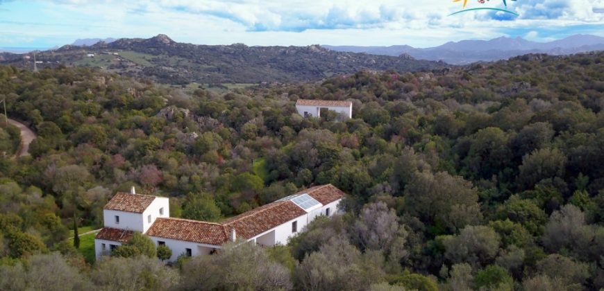 Superb Unfinished Rural Villas With 3,4 Ha for Sale Near Olbia, North Sardinia