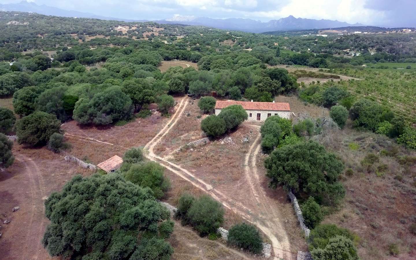 For Sale: Traditional Farmhouse in Telti, Near Olbia, North Sardinia