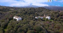 Superb Unfinished Rural Villas With 3,4 Ha for Sale Near Olbia, North Sardinia