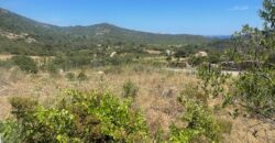 Country House For Sale Arzachena Italy Ref. Micalosu