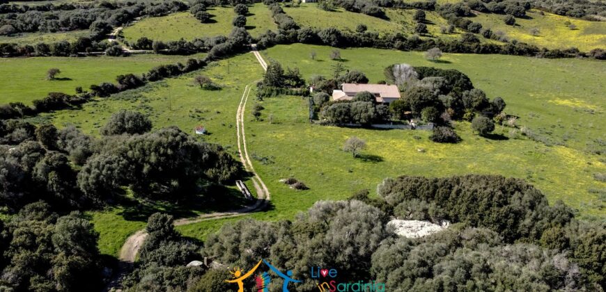 Property For Sale Sardinia, Italy Ref Lu Campu