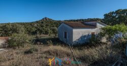 Cottage for Sale Sardinia ref Cuncosu