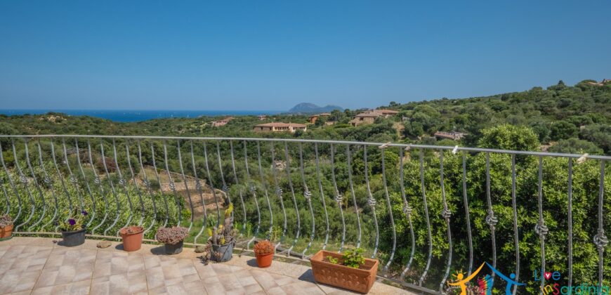 Properties For Sale In Olbia ref Villa Soffi