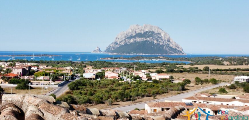 Apartment For Sale Porto San Paolo Sardinia Ref. PSP-066GP