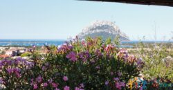 Apartment For Sale Porto San Paolo Sardinia Ref. PSP-066GP