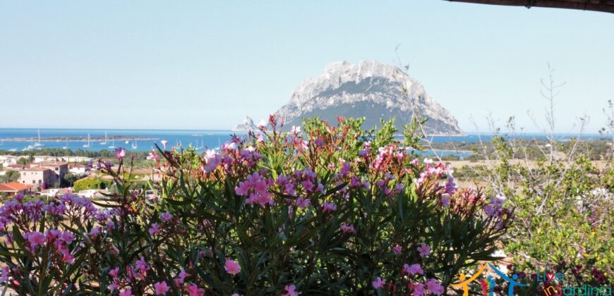 Apartment For Sale Porto San Paolo Sardinia Ref. PSP-066GP