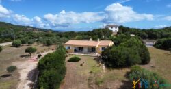 Country House For Sale Sale San Pantaleo Sardinia ref.AR-177AT