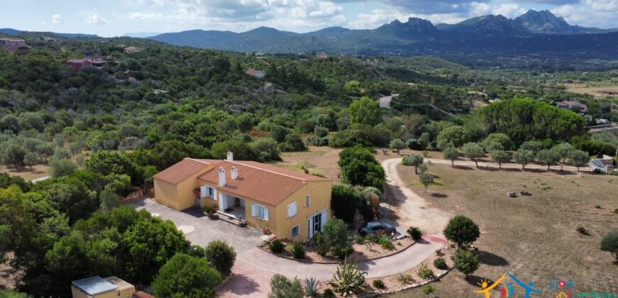 Country House For Sale Sale San Pantaleo Sardinia ref.AR-177AT