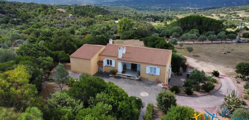 Country House For Sale Sale San Pantaleo Sardinia ref.AR-177AT