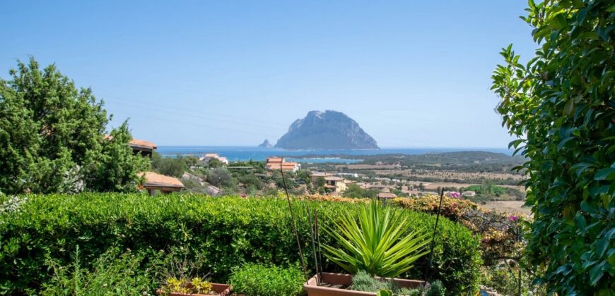 Sea View Villa For Sale Porto San Paolo Sardinia Ref.PSP-067GP