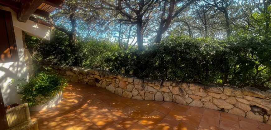 Property For Sale Porto Cervo Sardinia Ref V9224