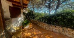 Property For Sale Porto Cervo Sardinia Ref V9224