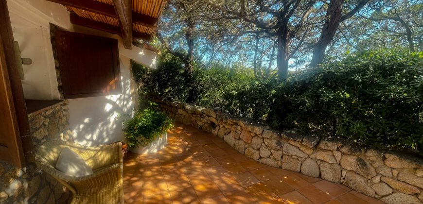 Property For Sale Porto Cervo Sardinia Ref V9224