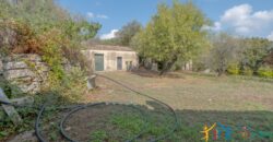 Country Home For Sale Monti Sardinia ref Li Conchi