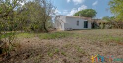 Country Home For Sale Monti Sardinia ref Li Conchi