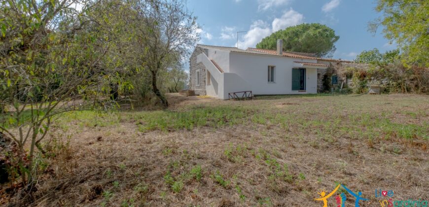 Country Home For Sale Monti Sardinia ref Li Conchi