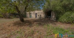 Country Home For Sale Monti Sardinia ref Li Conchi