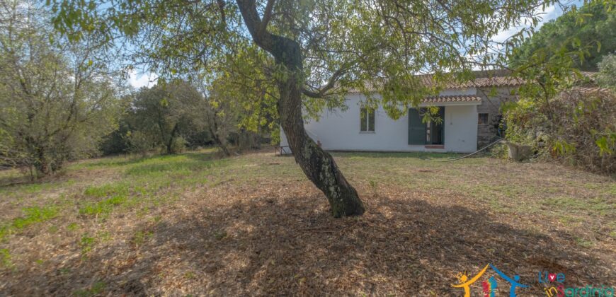 Country Home For Sale Monti Sardinia ref Li Conchi