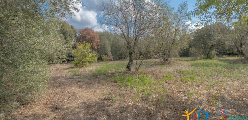 Country Home For Sale Monti Sardinia ref Li Conchi