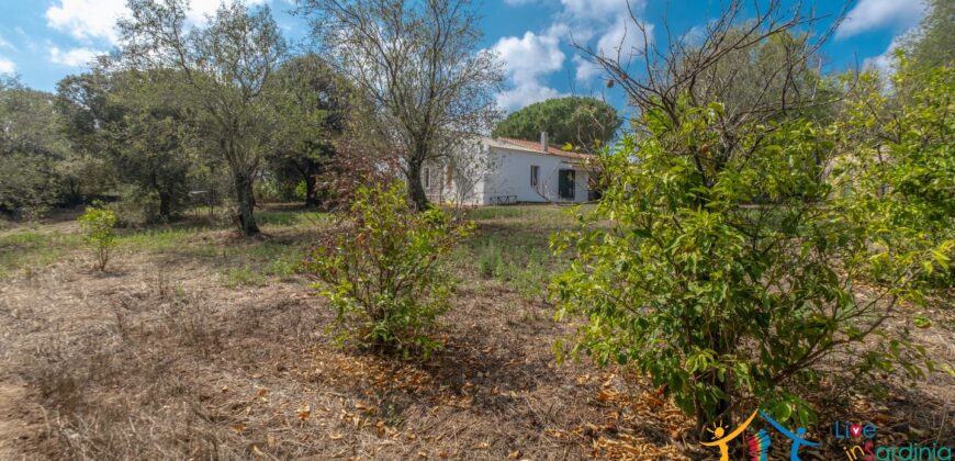 Country Home For Sale Monti Sardinia ref Li Conchi