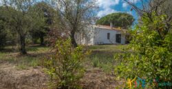 Country Home For Sale Monti Sardinia ref Li Conchi