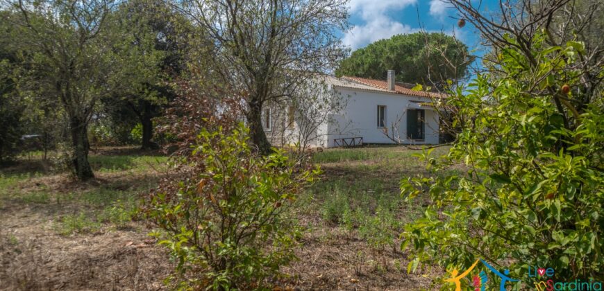 Country Home For Sale Monti Sardinia ref Li Conchi