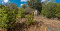 Country Home For Sale Monti Sardinia ref Li Conchi