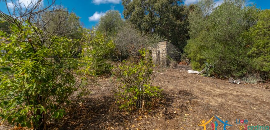 Country Home For Sale Monti Sardinia ref Li Conchi