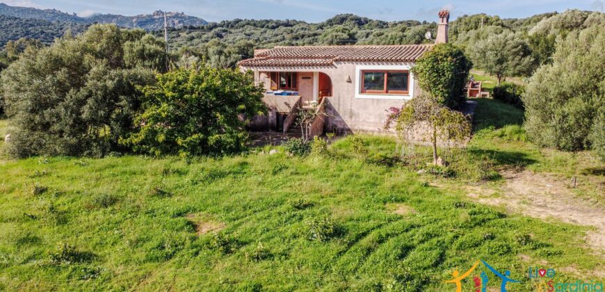 Farmhouse For Sale Olbia Sardinia Ref. San Giovanni