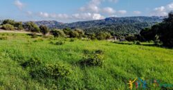 Farmhouse For Sale Olbia Sardinia Ref. San Giovanni