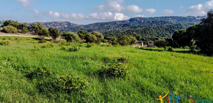 Farmhouse For Sale Olbia Sardinia Ref. San Giovanni