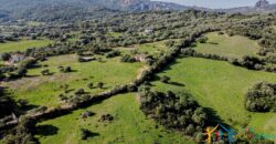 Farmhouse For Sale Olbia Sardinia Ref. San Giovanni