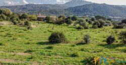 Farmhouse For Sale Olbia Sardinia Ref. San Giovanni