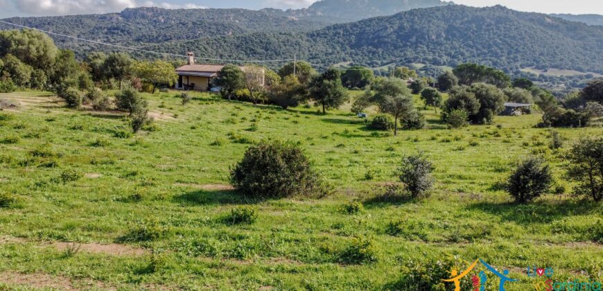 Farmhouse For Sale Olbia Sardinia Ref. San Giovanni