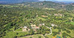 Country Houses for Sale in Loiri Porto San Paolo Ref. Ovilò