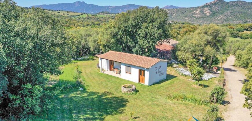 Country Houses for Sale in Loiri Porto San Paolo Ref. Ovilò