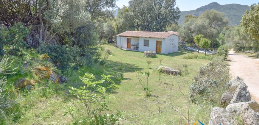 Country Houses for Sale in Loiri Porto San Paolo Ref. Ovilò