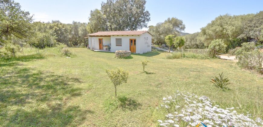 Country Houses for Sale in Loiri Porto San Paolo Ref. Ovilò