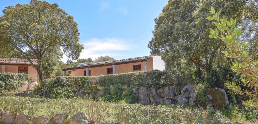 Country Houses for Sale in Loiri Porto San Paolo Ref. Ovilò