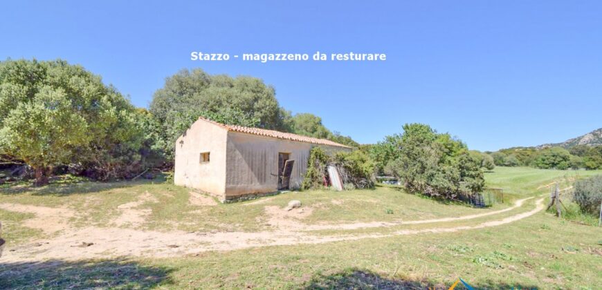 Country Houses for Sale in Loiri Porto San Paolo Ref. Ovilò