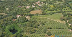 Country Houses for Sale in Loiri Porto San Paolo Ref. Ovilò