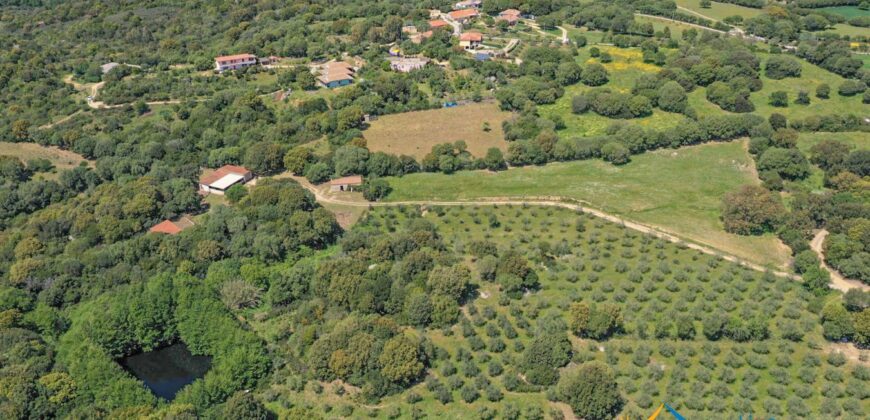 Country Houses for Sale in Loiri Porto San Paolo Ref. Ovilò