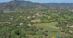 Country Houses for Sale in Loiri Porto San Paolo Ref. Ovilò