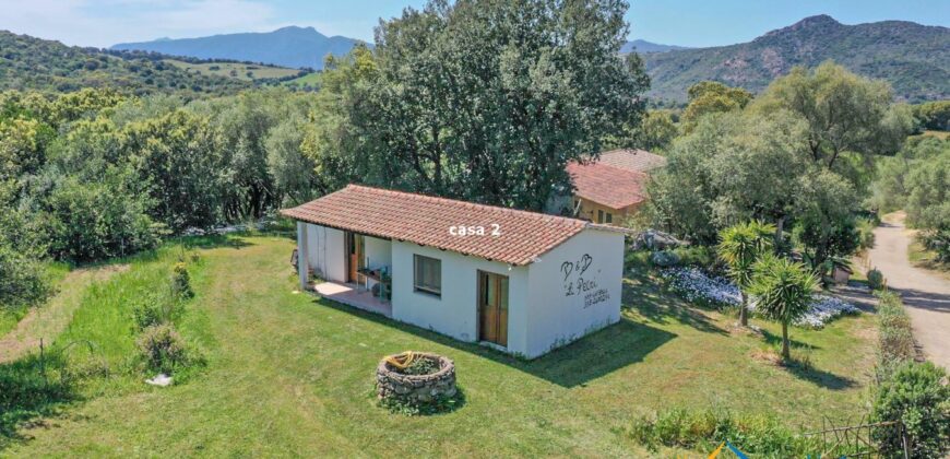 Country Houses for Sale in Loiri Porto San Paolo Ref. Ovilò