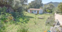 Property For Sale In Loiri Porto San Paolo Ref. Ovilò