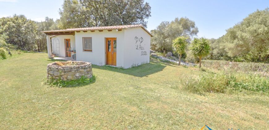 Property For Sale In Loiri Porto San Paolo Ref. Ovilò