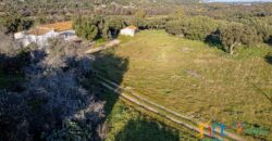 Country Home For Sale Monti Sardinia Ref Su Canale