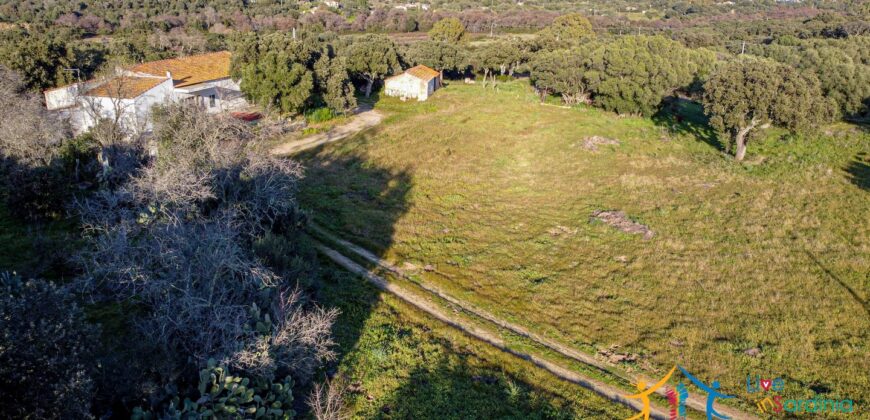 Country Home For Sale Monti Sardinia Ref Su Canale