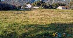 Country Home For Sale Monti Sardinia Ref Su Canale