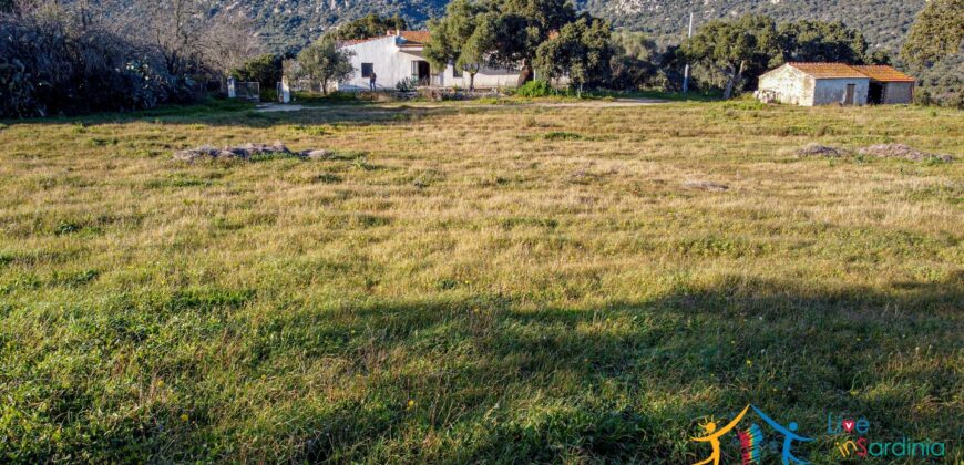 Country Home For Sale Monti Sardinia Ref Su Canale